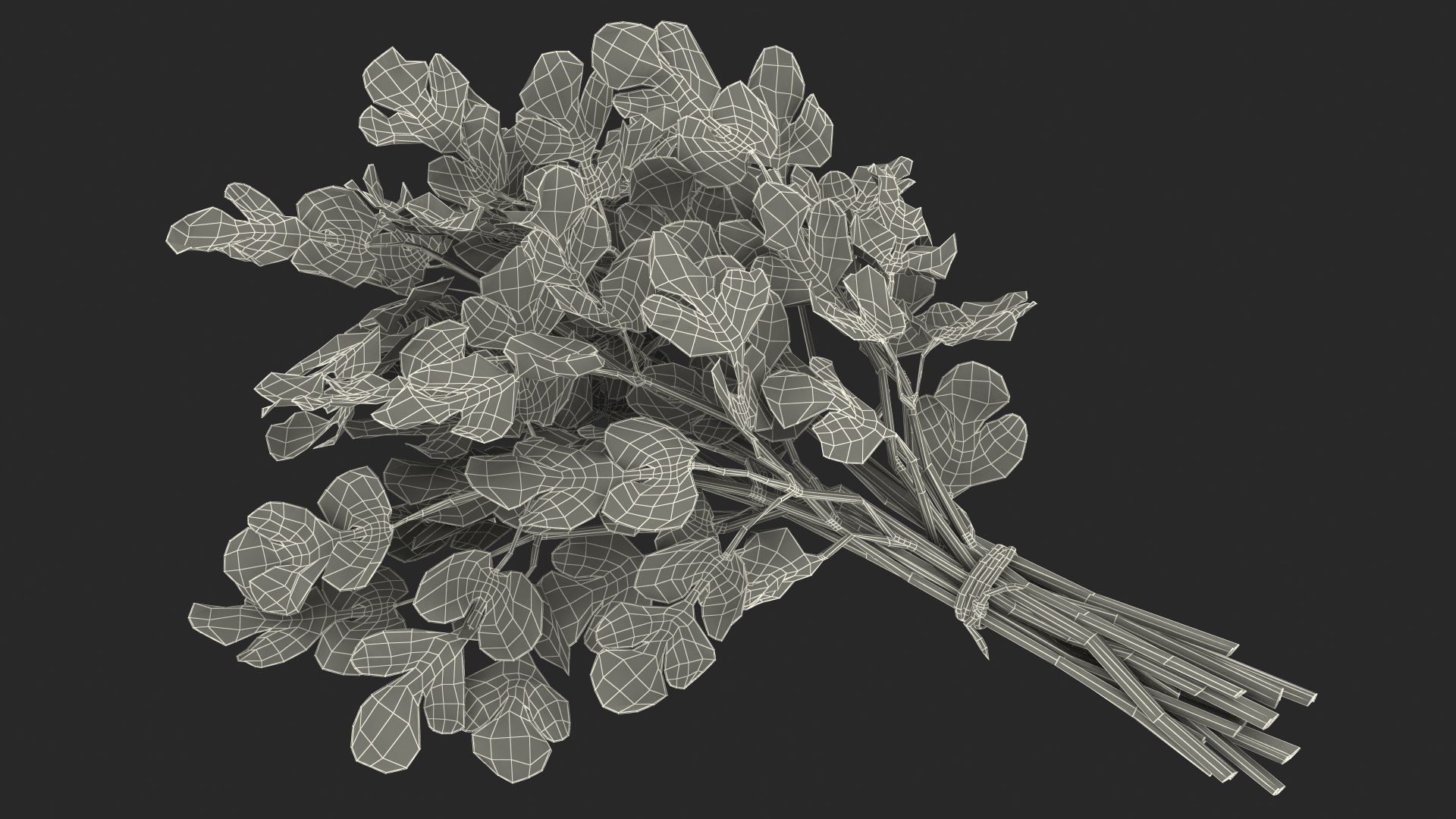 3D Salad Greens Collection 4 model https://p.turbosquid.com/ts-thumb/tV/HDUjp3/Y0/saladgreenscollection43dsmodel075/jpg/1660084495/1920x1080/fit_q87/c4eed0717fa003629a5334a6520e8dce8a7de8a9/saladgreenscollection43dsmodel075.jpg