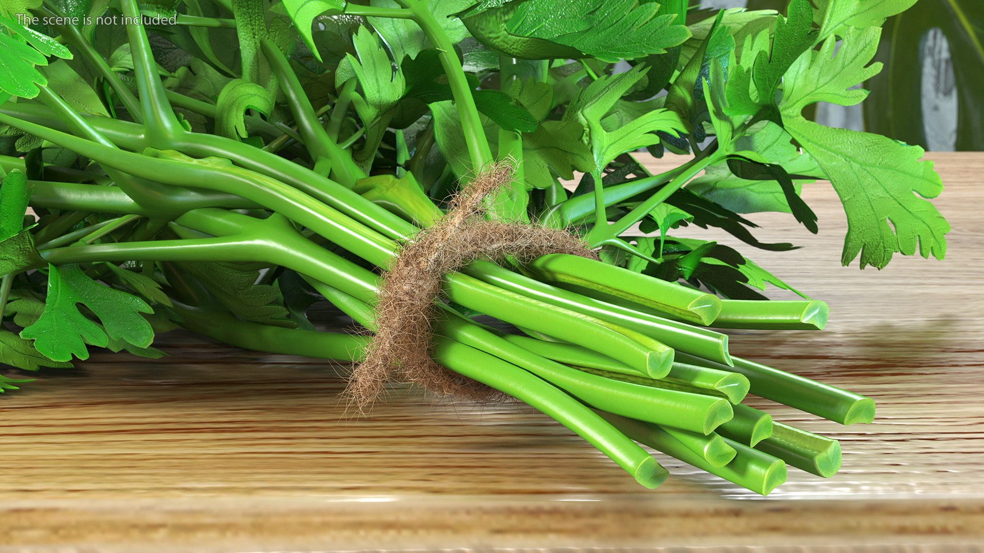 3D Salad Greens Collection 4 model https://p.turbosquid.com/ts-thumb/tV/HDUjp3/Yr/saladgreenscollection43dsmodel034/jpg/1660084373/1920x1080/fit_q87/a1a8440162d203cd91c5858346ffbf14cf786370/saladgreenscollection43dsmodel034.jpg
