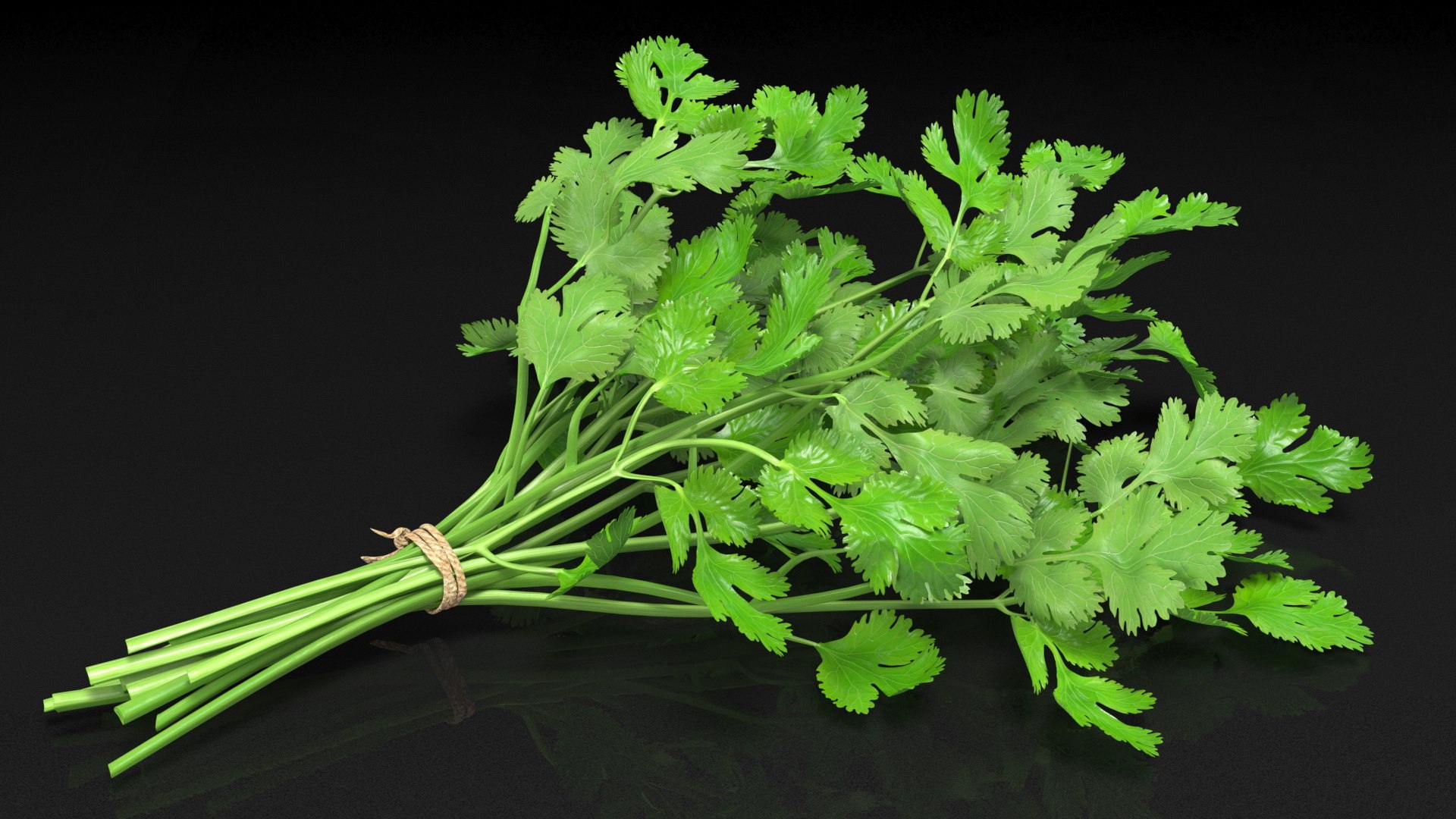 3D Salad Greens Collection 4 model https://p.turbosquid.com/ts-thumb/tV/HDUjp3/aj/saladgreenscollection43dsmodel008/jpg/1660084294/1920x1080/fit_q87/5283ca6e4168652c431cad30219c82ab92cc0675/saladgreenscollection43dsmodel008.jpg