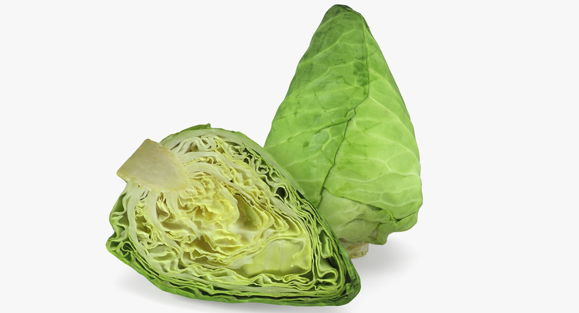 3D Salad Greens Collection 4 model https://p.turbosquid.com/ts-thumb/tV/HDUjp3/be/saladgreenscollection43dsmodel059/jpg/1660084446/1920x1080/fit_q87/52e41945cbacd2ada780dc9ebb0e288ef56bbb9c/saladgreenscollection43dsmodel059.jpg