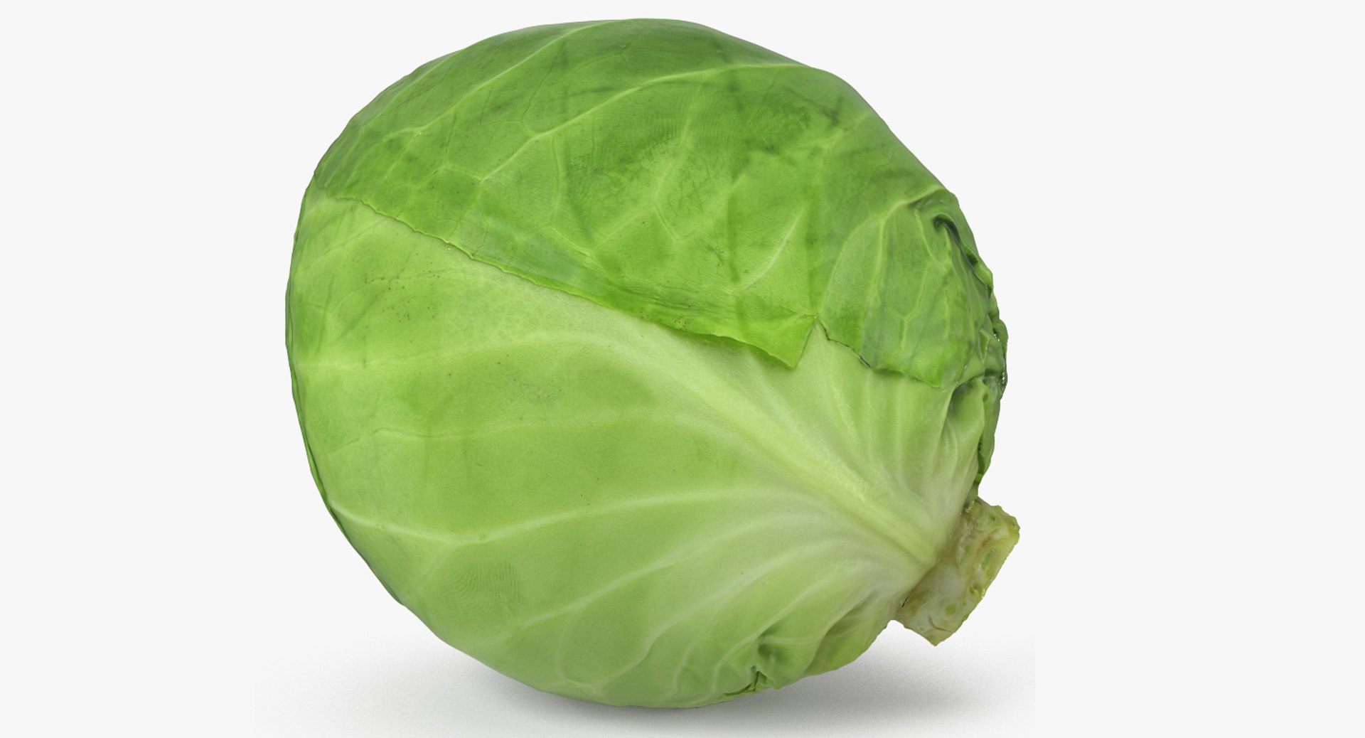 3D Salad Greens Collection 4 model https://p.turbosquid.com/ts-thumb/tV/HDUjp3/cS/saladgreenscollection43dsmodel069/jpg/1660084476/1920x1080/fit_q87/7ef99b225c3da2ac2b248b89e5c61048ed8abf14/saladgreenscollection43dsmodel069.jpg
