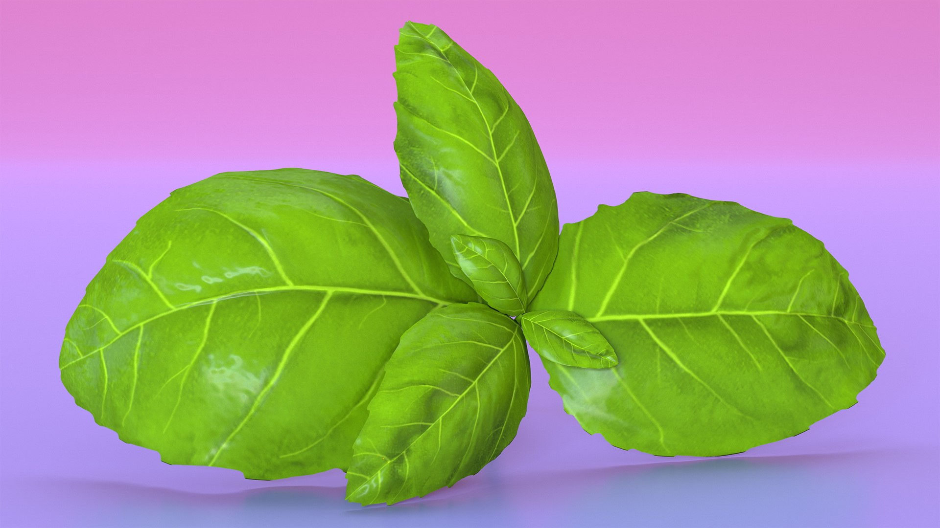 3D Salad Greens Collection 4 model https://p.turbosquid.com/ts-thumb/tV/HDUjp3/fm/saladgreenscollection43dsmodel055/jpg/1660084435/1920x1080/fit_q87/bf41d06ec598697f8edc0ee316d1bf769f53839b/saladgreenscollection43dsmodel055.jpg