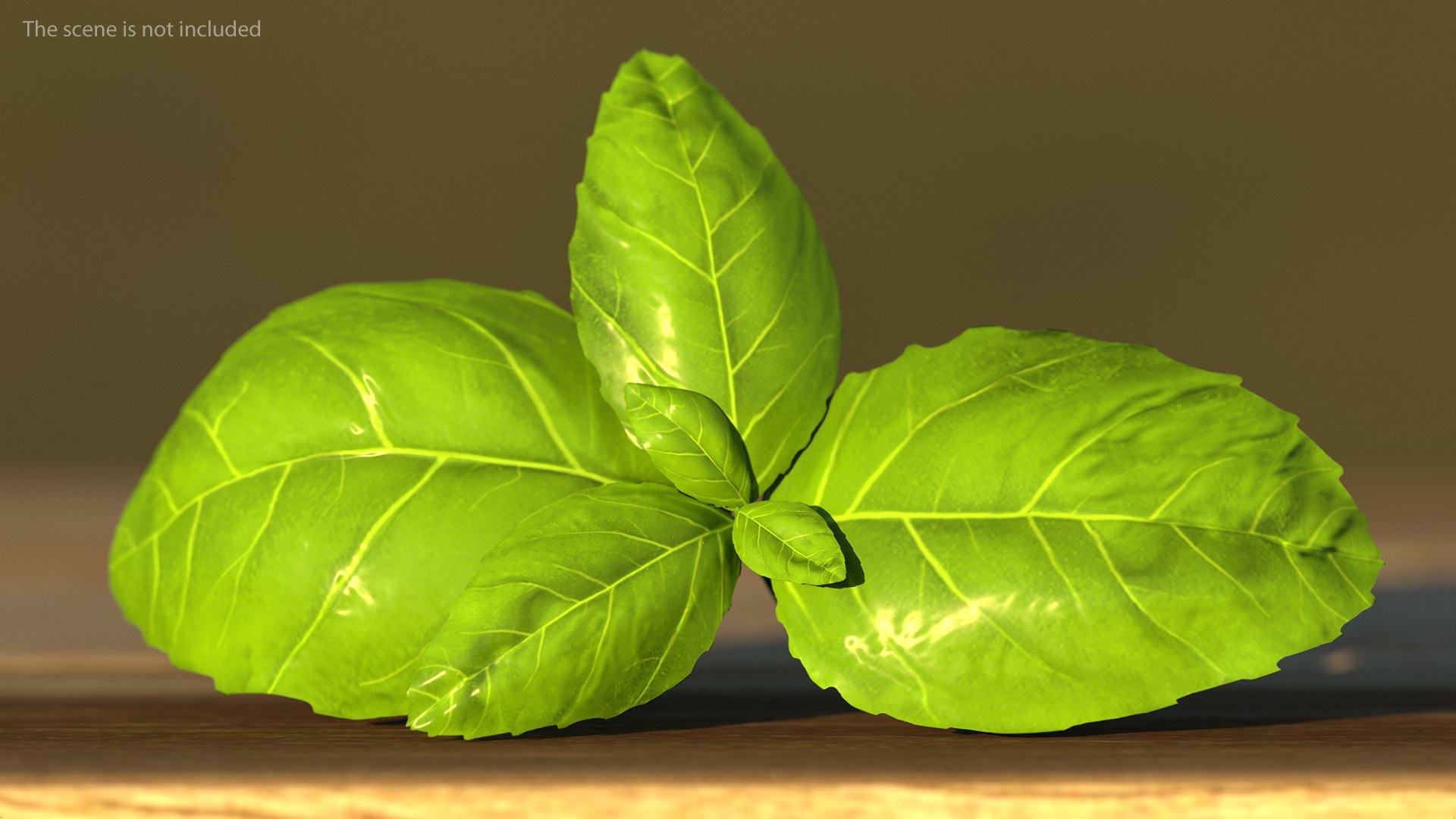 3D Salad Greens Collection 4 model https://p.turbosquid.com/ts-thumb/tV/HDUjp3/m7/saladgreenscollection43dsmodel052/jpg/1660084426/1920x1080/fit_q87/eba0eb2a82659cb5517d91283ffb9613597ee1c6/saladgreenscollection43dsmodel052.jpg