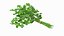 Salade Verte Collection 4