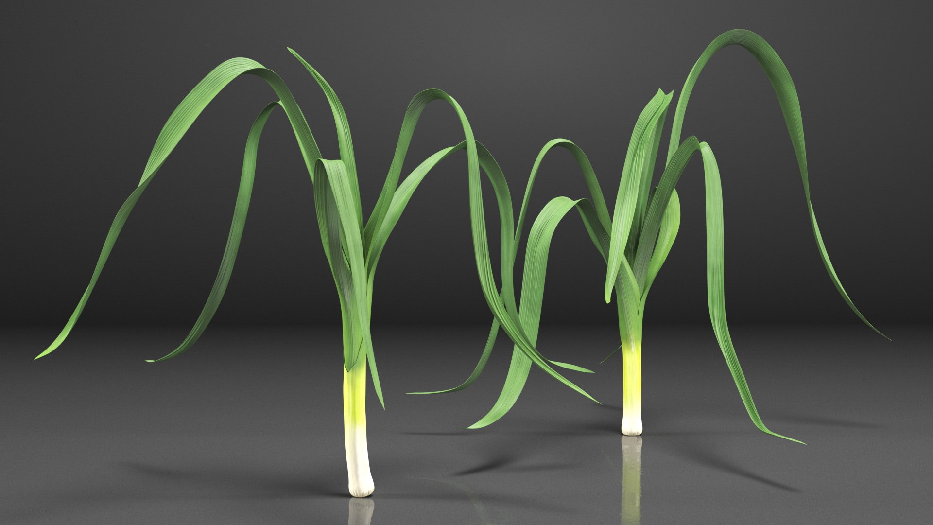 3D Salad Greens Collection 4 model https://p.turbosquid.com/ts-thumb/tV/HDUjp3/vJ/saladgreenscollection43dsmodel022/jpg/1660084337/1920x1080/fit_q87/0eefde988d26bc9d8324a697f3de522e0826f756/saladgreenscollection43dsmodel022.jpg