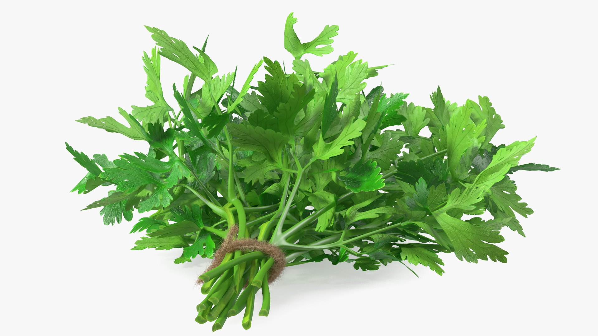 3D Salad Greens Collection 4 model https://p.turbosquid.com/ts-thumb/tV/HDUjp3/xX/saladgreenscollection43dsmodel038/jpg/1660084386/1920x1080/fit_q87/6dca02feb4bd4ead0a1c391bdc24f647e189e083/saladgreenscollection43dsmodel038.jpg