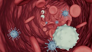 Blood Flow - Stream Animation -- White Red Cell Virus