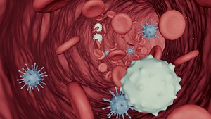 Blood Flow - Stream Animation -- White Red Cell Virus