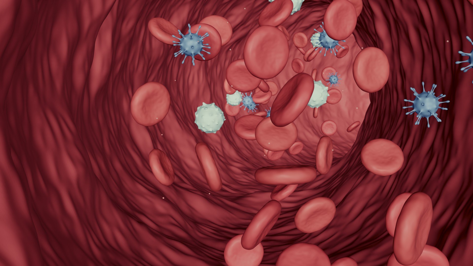 Blood Flow Animation 3D Model - TurboSquid 1927321