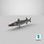 Barracuda