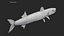 Barracuda