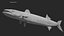 Barracuda