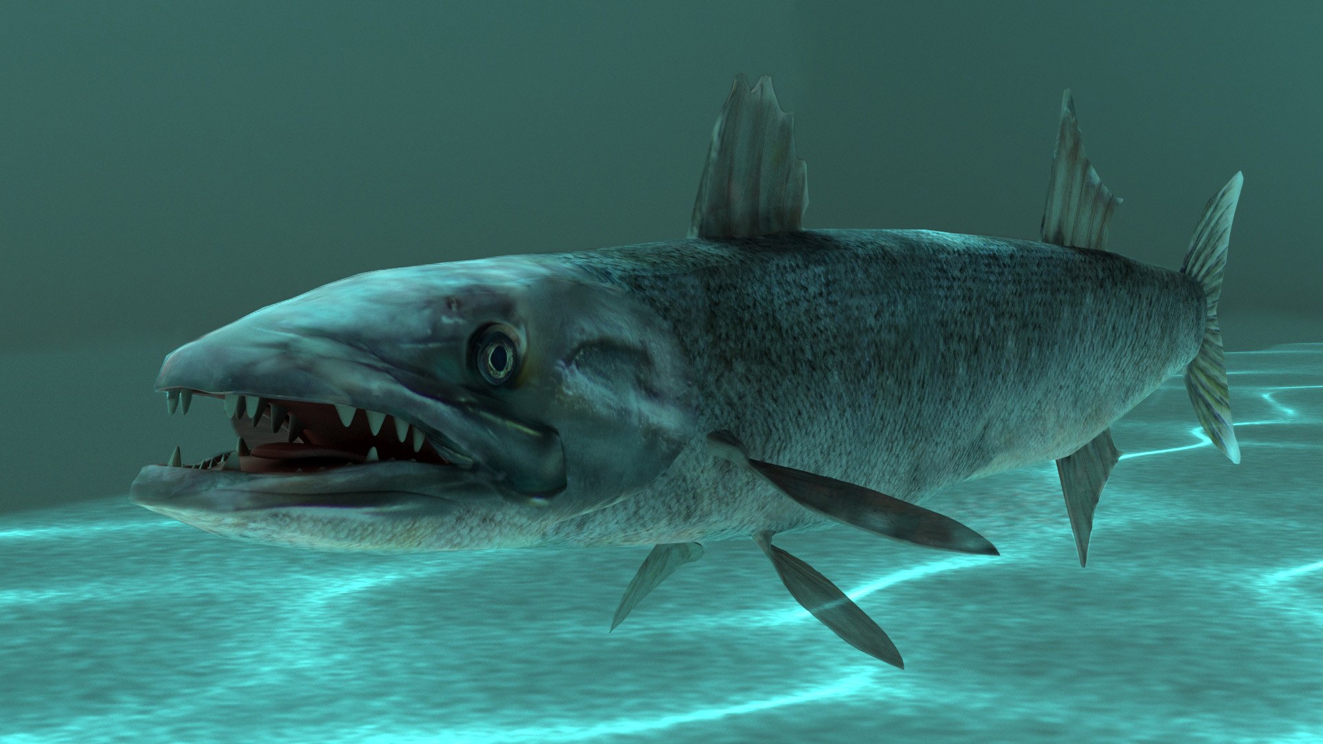 3d barracuda fish ray-finned https://p.turbosquid.com/ts-thumb/tV/pEbNOR/I9/barra003/jpg/1626966970/1920x1080/fit_q87/9b7abd0bda14d9a44f4f045fbc107f1a68a4f904/barra003.jpg