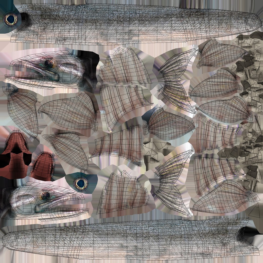 3d barracuda fish ray-finned https://p.turbosquid.com/ts-thumb/tV/pEbNOR/SF/uv/jpg/1626966972/1920x1080/fit_q87/70db1b8ac482bc2b647d22127fb04f9a2d7d7b25/uv.jpg