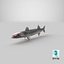 Barracuda