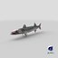 Barracuda