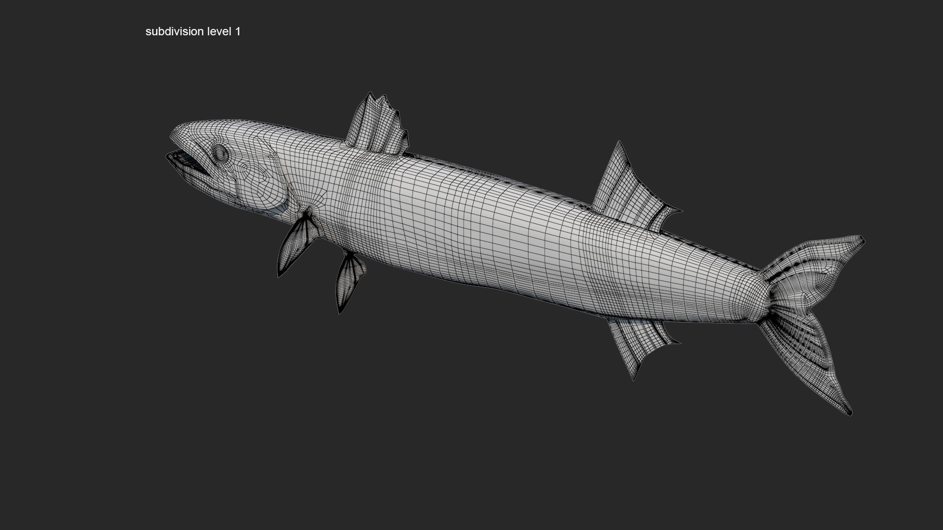 3d barracuda fish ray-finned https://p.turbosquid.com/ts-thumb/tV/pEbNOR/em/wire08/jpg/1626966963/1920x1080/fit_q87/b316c6bca1d88860123b563f705ebca3efbb48c5/wire08.jpg