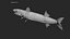 Barracuda