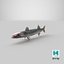 Barracuda