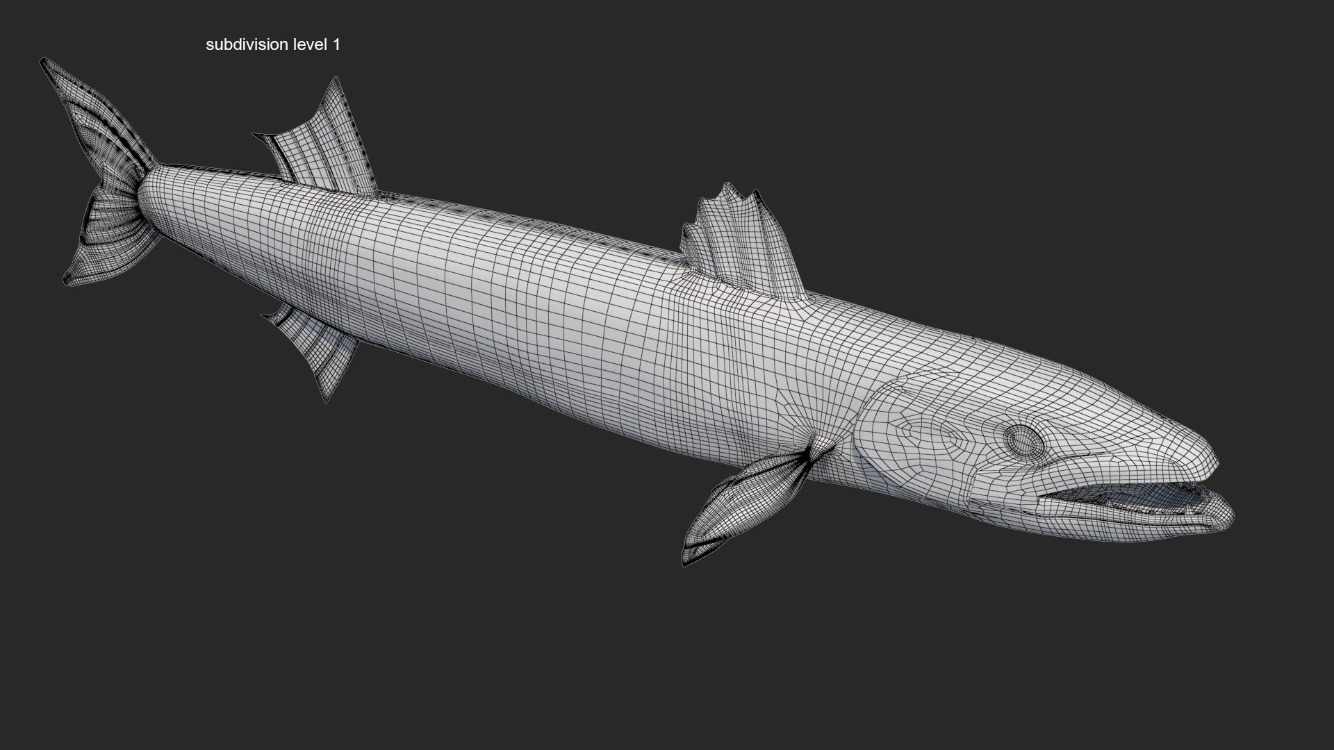 3d barracuda fish ray-finned https://p.turbosquid.com/ts-thumb/tV/pEbNOR/p1/wire05/jpg/1626966969/1920x1080/fit_q87/dfc00ee6dabfd39050c081b1a3d19e1d9ce2466e/wire05.jpg