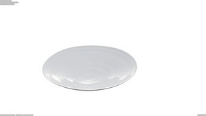 realistic dish