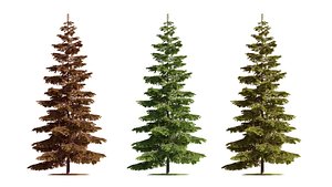 Complete Pack Tree Set Bundle 3D model