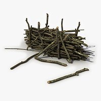Twigs Debris