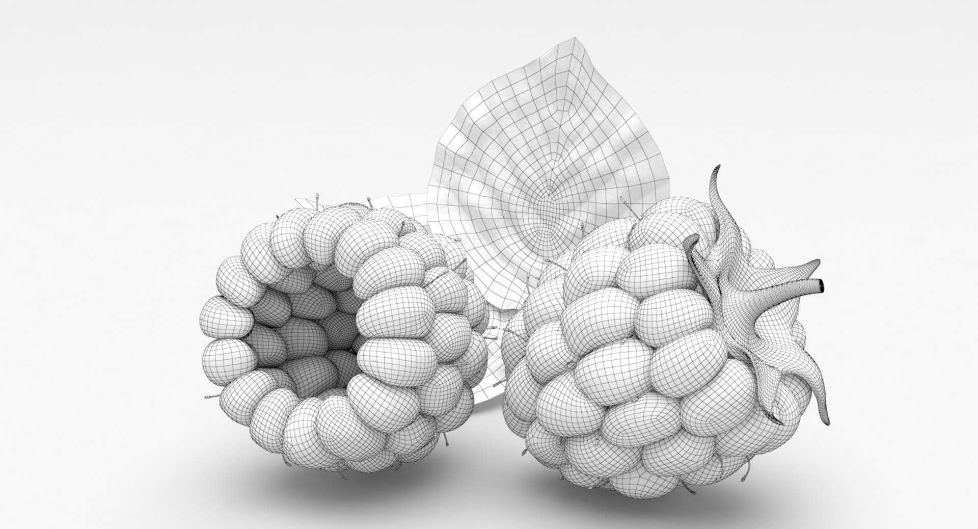 Raspberry Fruit Model - TurboSquid 1297097
