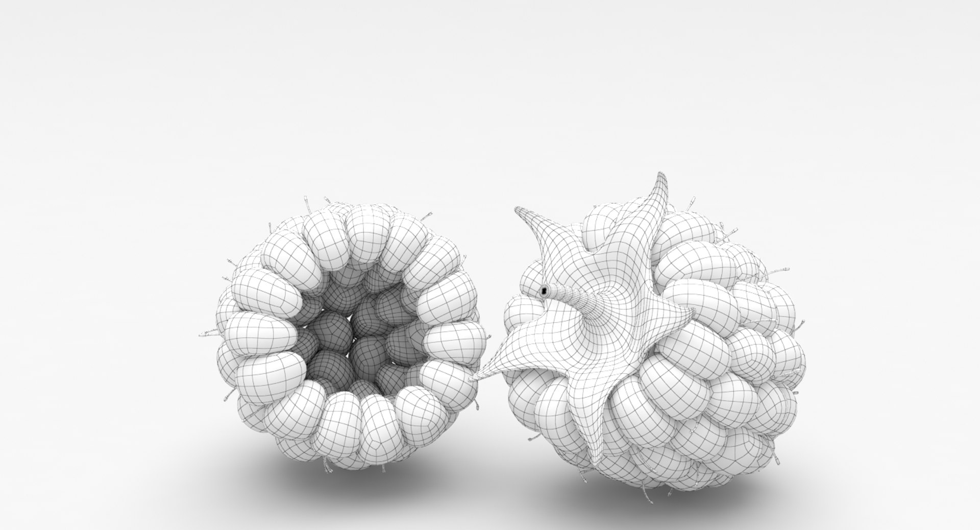 Raspberry Fruit Model - TurboSquid 1297097