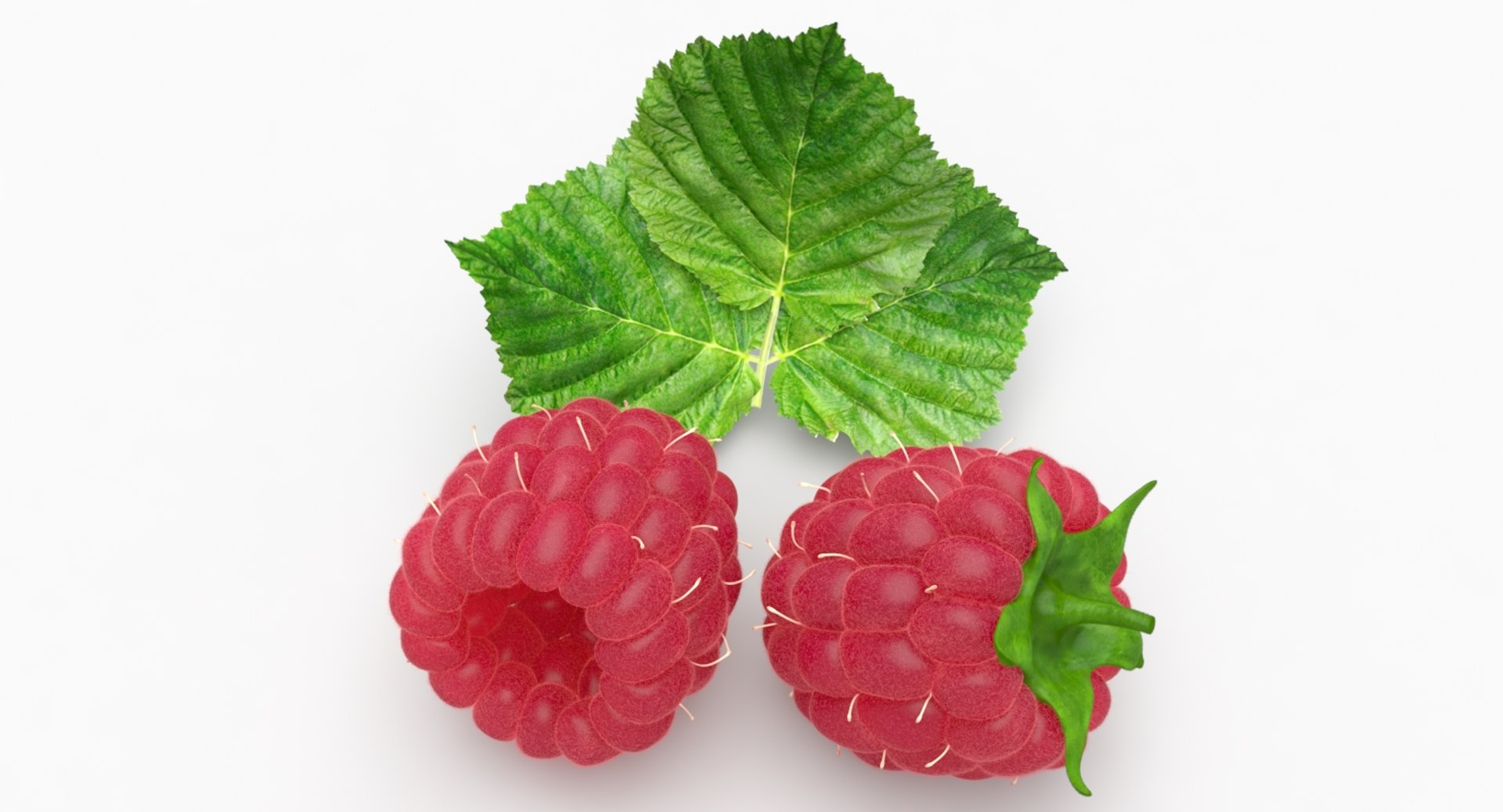 Raspberry Fruit Model - TurboSquid 1297097