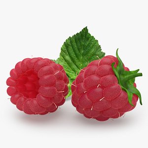 raspberry fruit model