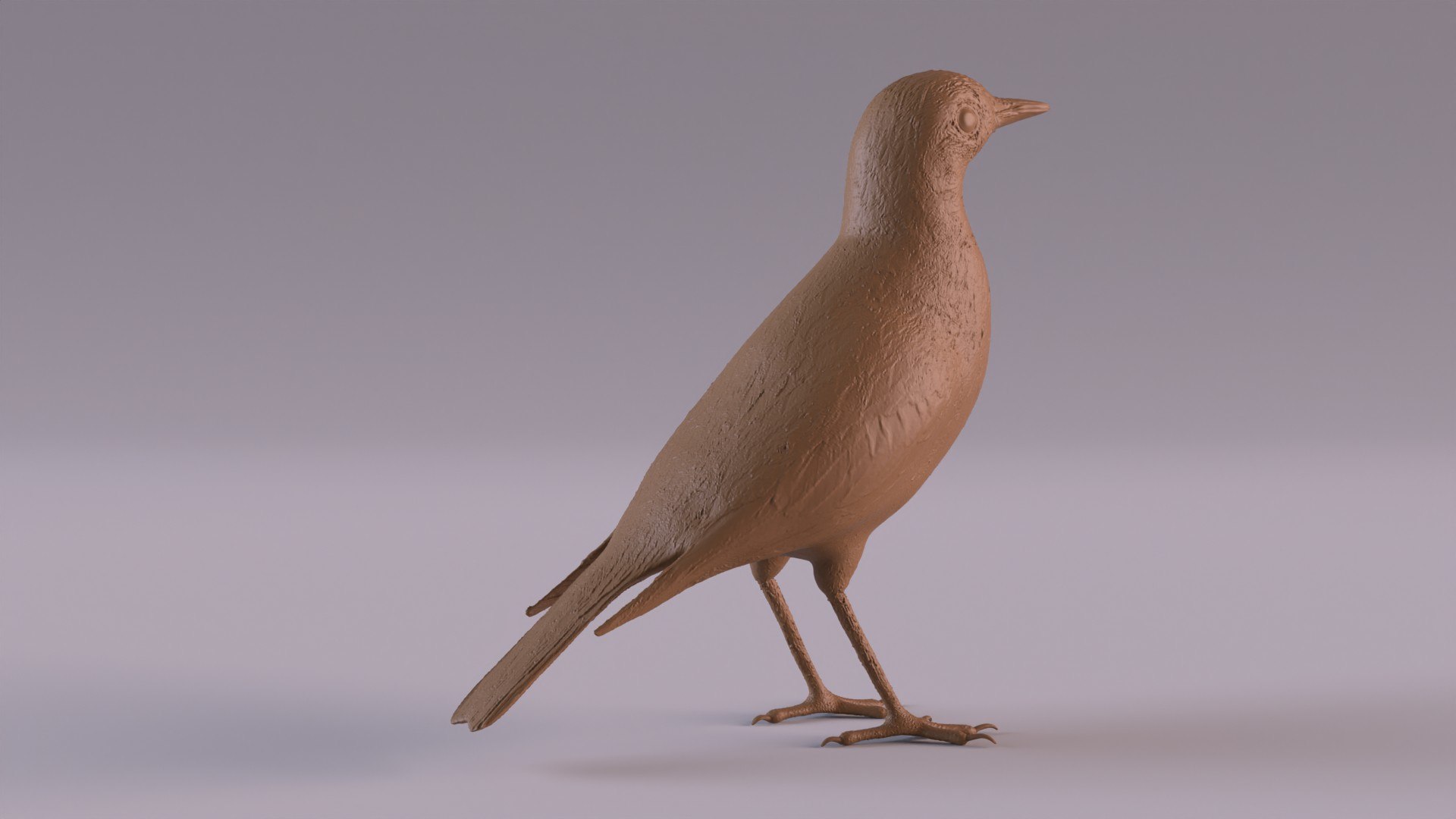 Pipit 3D - TurboSquid 2415177