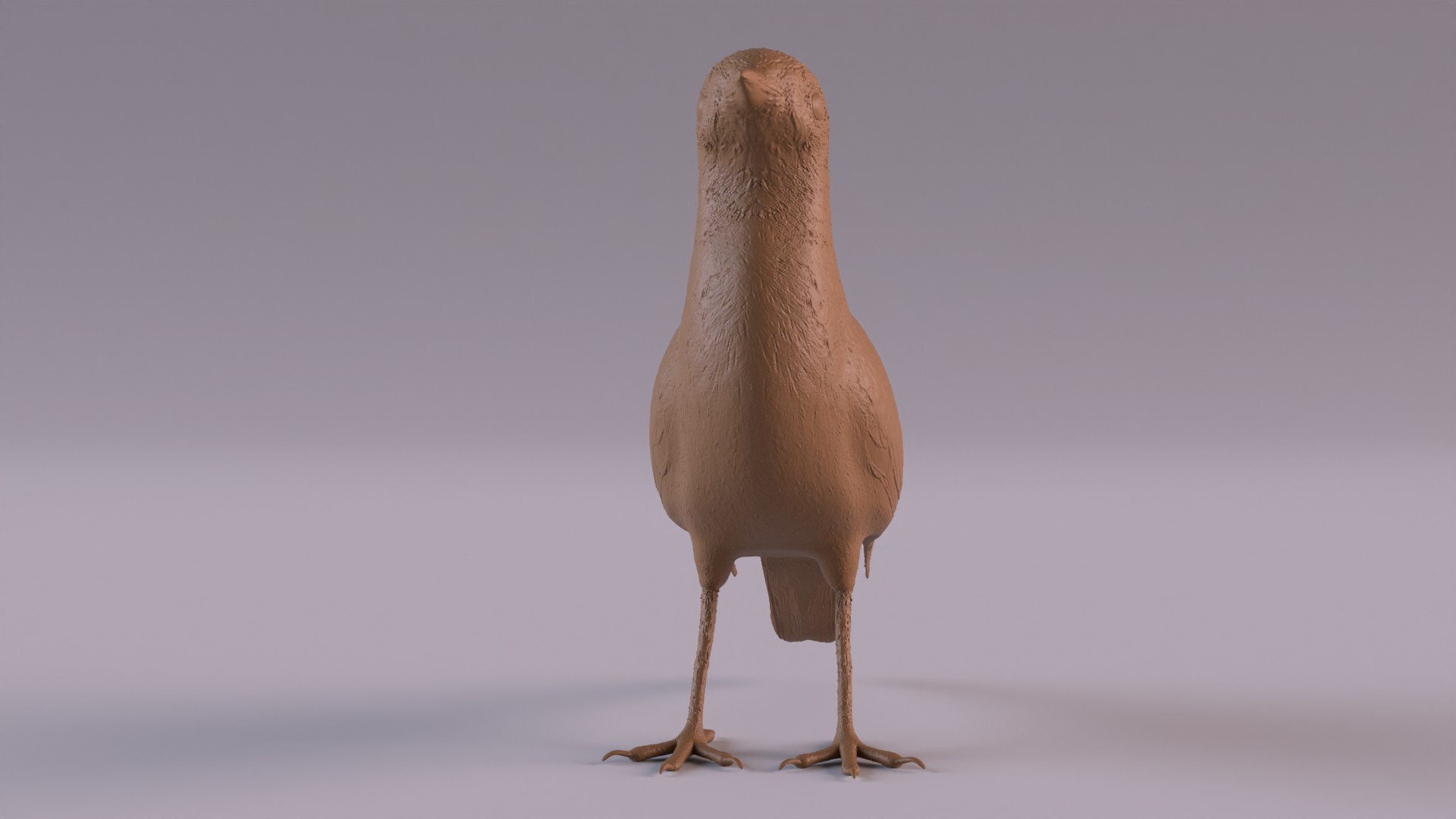 Pipit 3D - TurboSquid 2415177