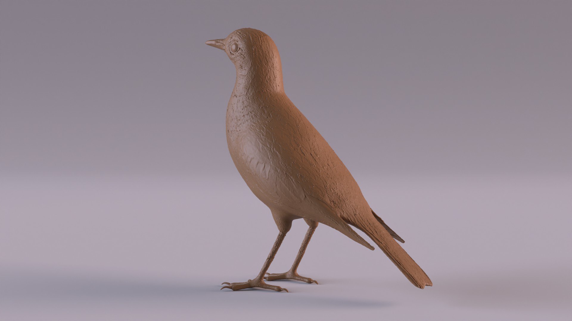 Pipit 3D - TurboSquid 2415177