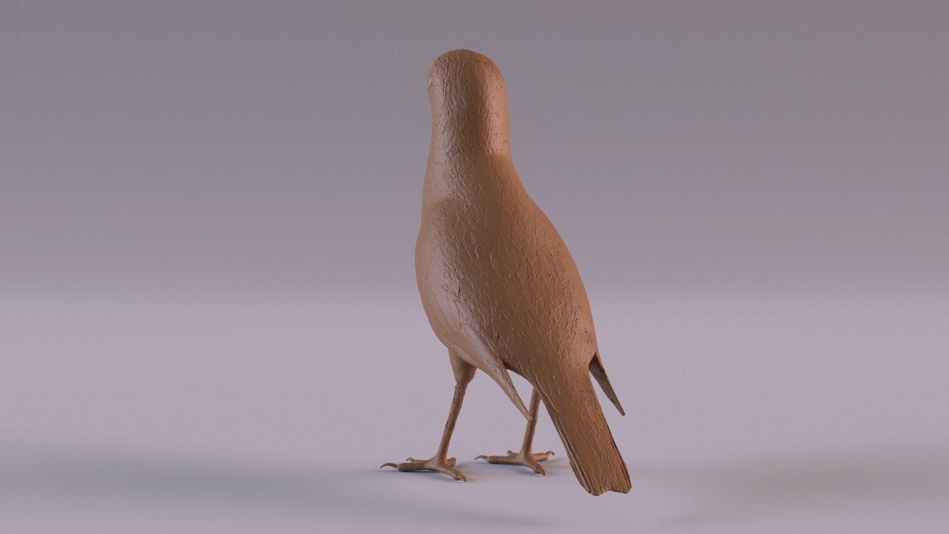 Pipit 3D - TurboSquid 2415177