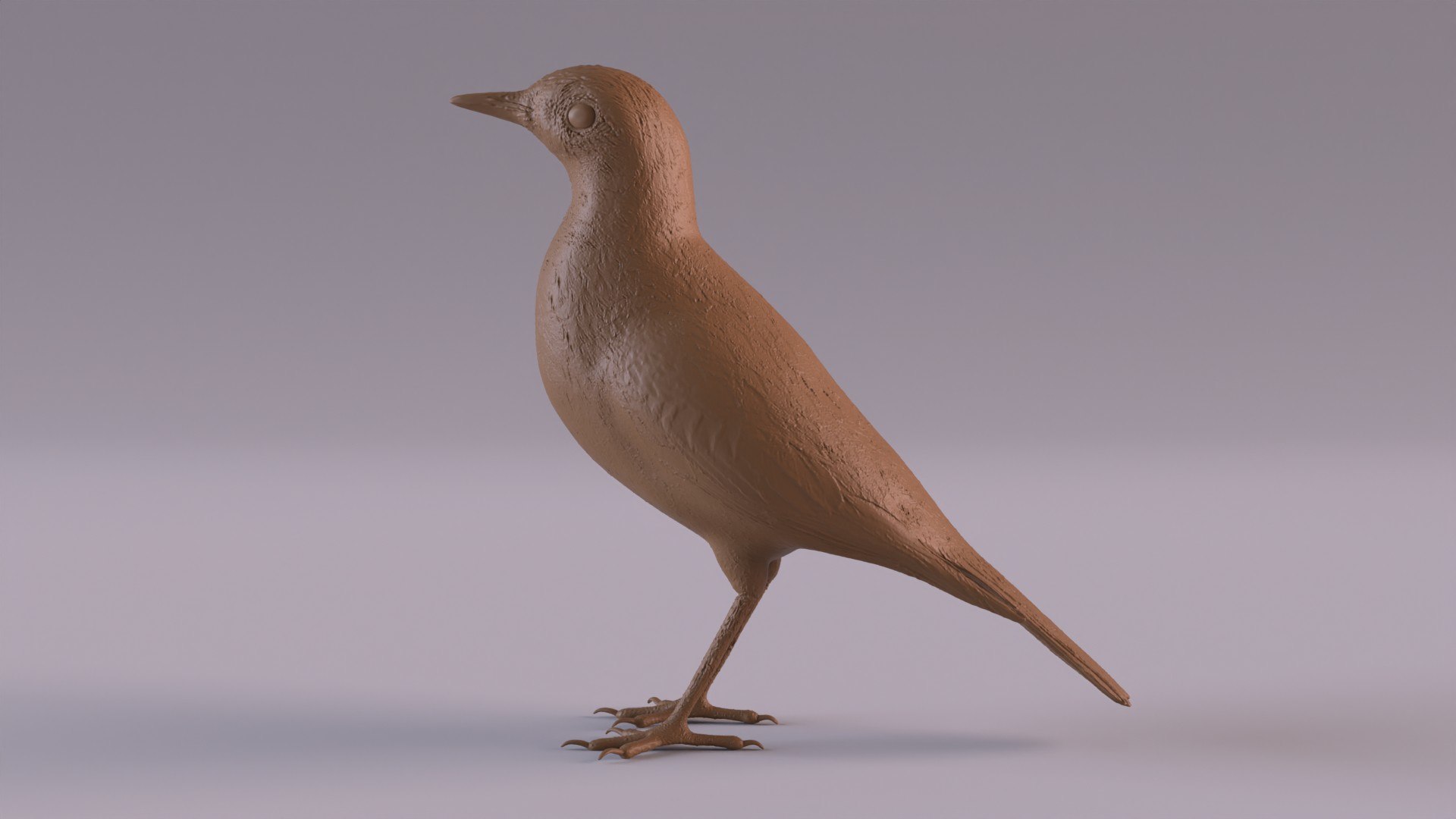 Pipit 3D - TurboSquid 2415177