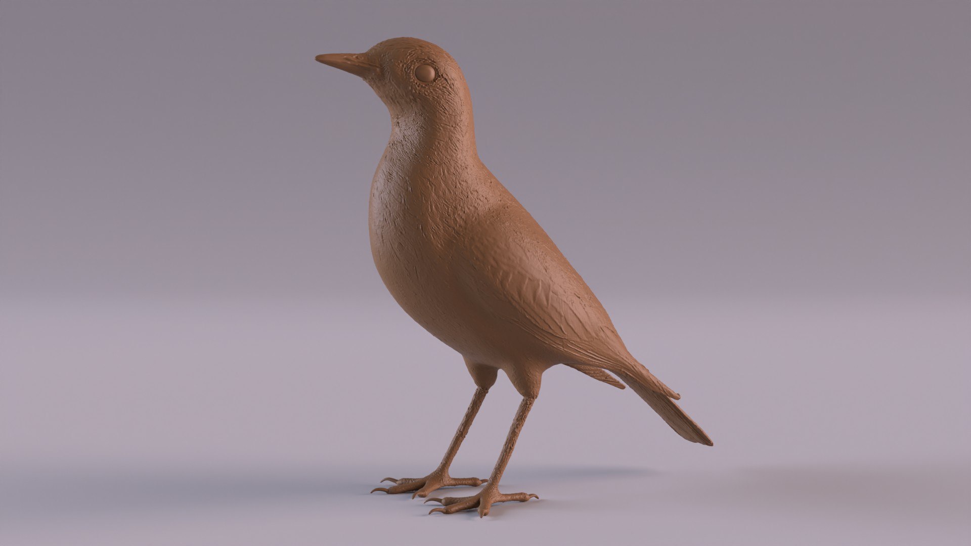Pipit 3D - TurboSquid 2415177