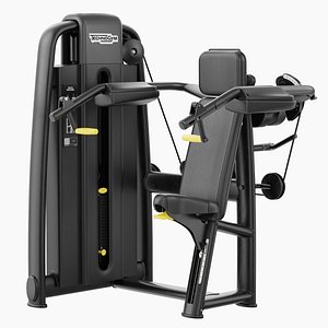 3D Technogym Selection 700 - Delts Machine