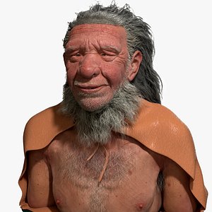 neanderthal bust 3D model