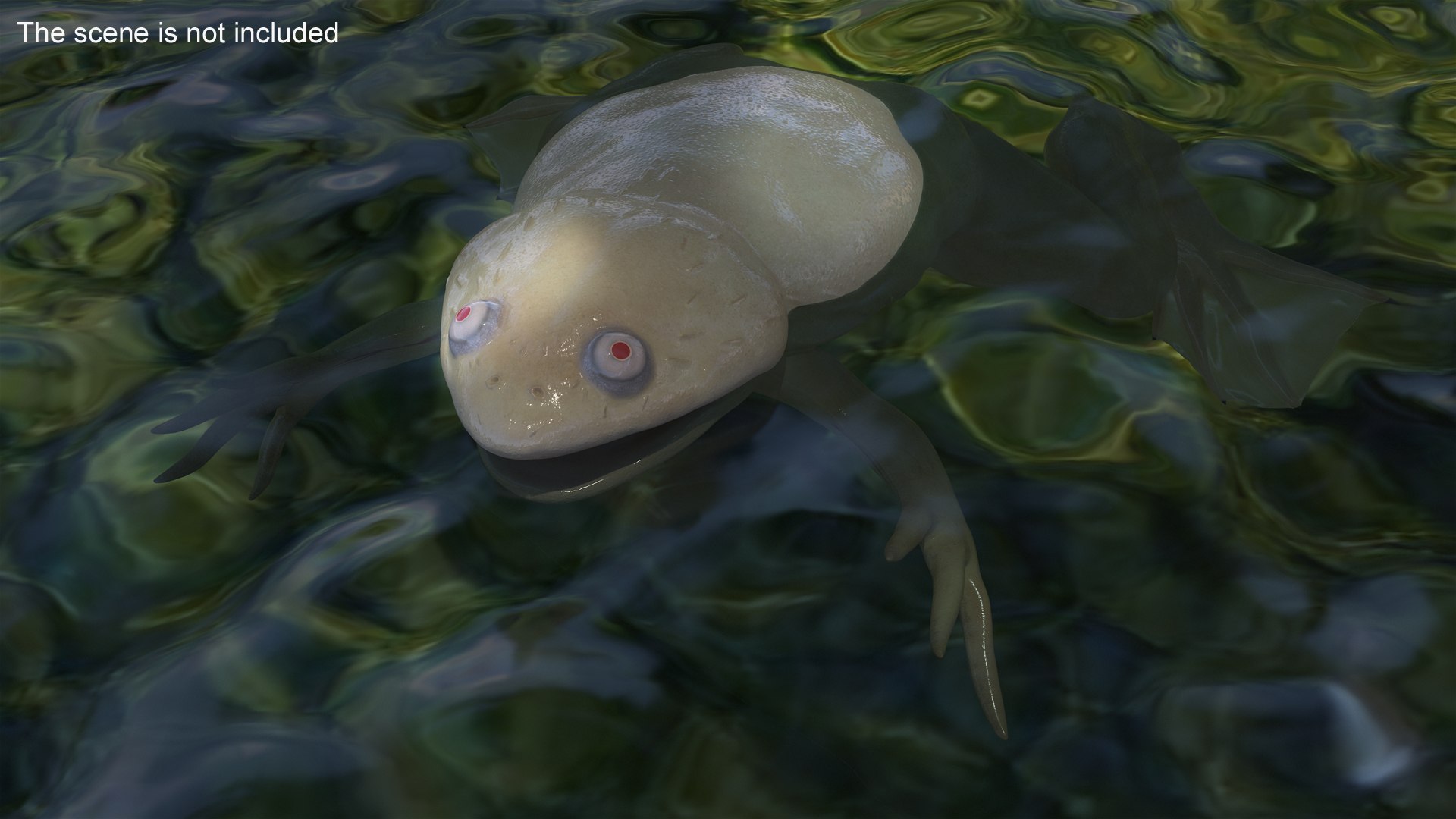 Xenopus African Clawed Toad Rigged For Maya 3D Model - TurboSquid 2140013