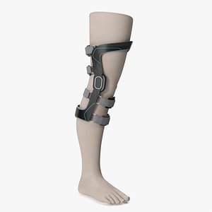 upright knee brace model
