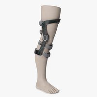 Upright Knee Brace 3D Model
