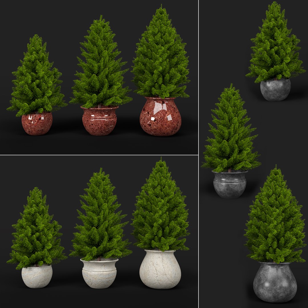 3D Pine Pots - TurboSquid 1565601