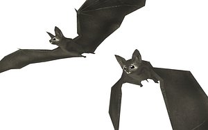 Bat Animated Lowpoly