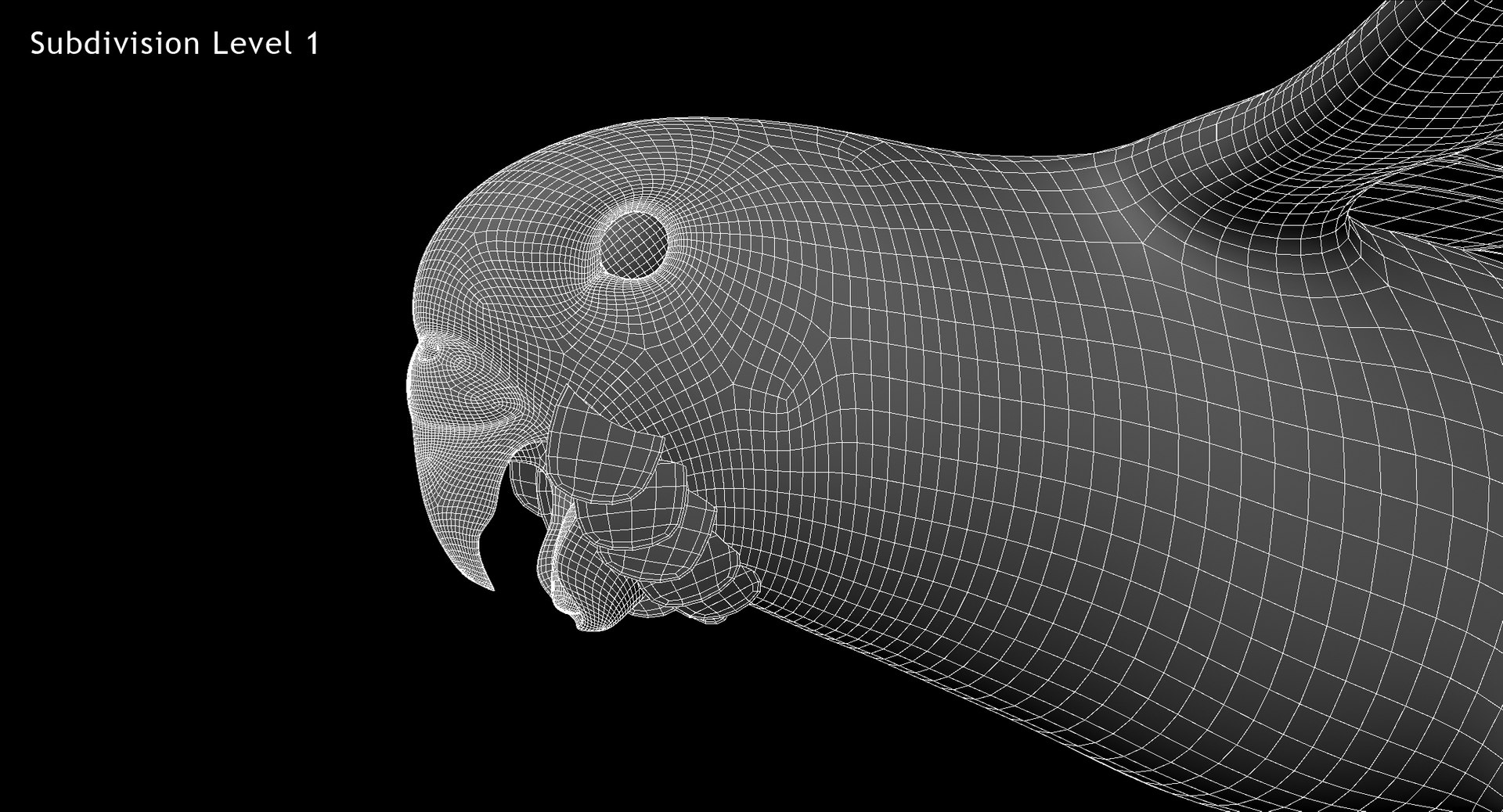 melopsittacus undulatus budgerigar yellow 3d obj https://p.turbosquid.com/ts-thumb/tX/9k9t1U/VL0q0kzQ/w06/jpg/1430390805/1920x1080/fit_q87/db4bd082b650cb4ee4b8fd1eebd3fcda8745fcd5/w06.jpg