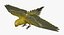 Melopsittacus Undulatus 'Budgerigar Yellow'