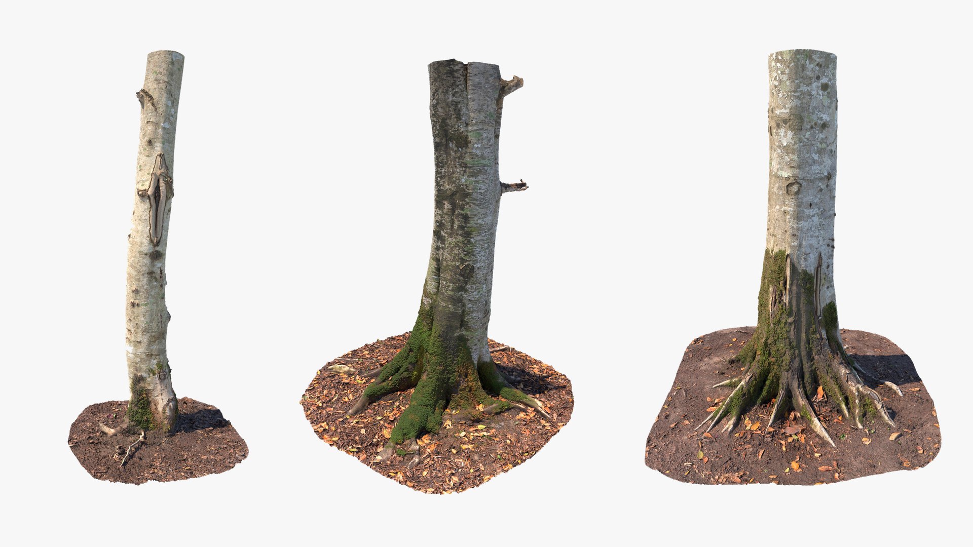 3D model Scanned Tree Trunks Collection Forest and Fruit Trees https://p.turbosquid.com/ts-thumb/tX/DEwlOS/86/trunks_vertical_max_01_2560x1440/jpg/1787991963/1920x1080/fit_q87/17541d74392ea38a0742d15c74d6086f5a8659ef/trunks_vertical_max_01_2560x1440.jpg
