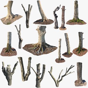 Scanned Tree Trunks Collection Forest and Fruit Trees