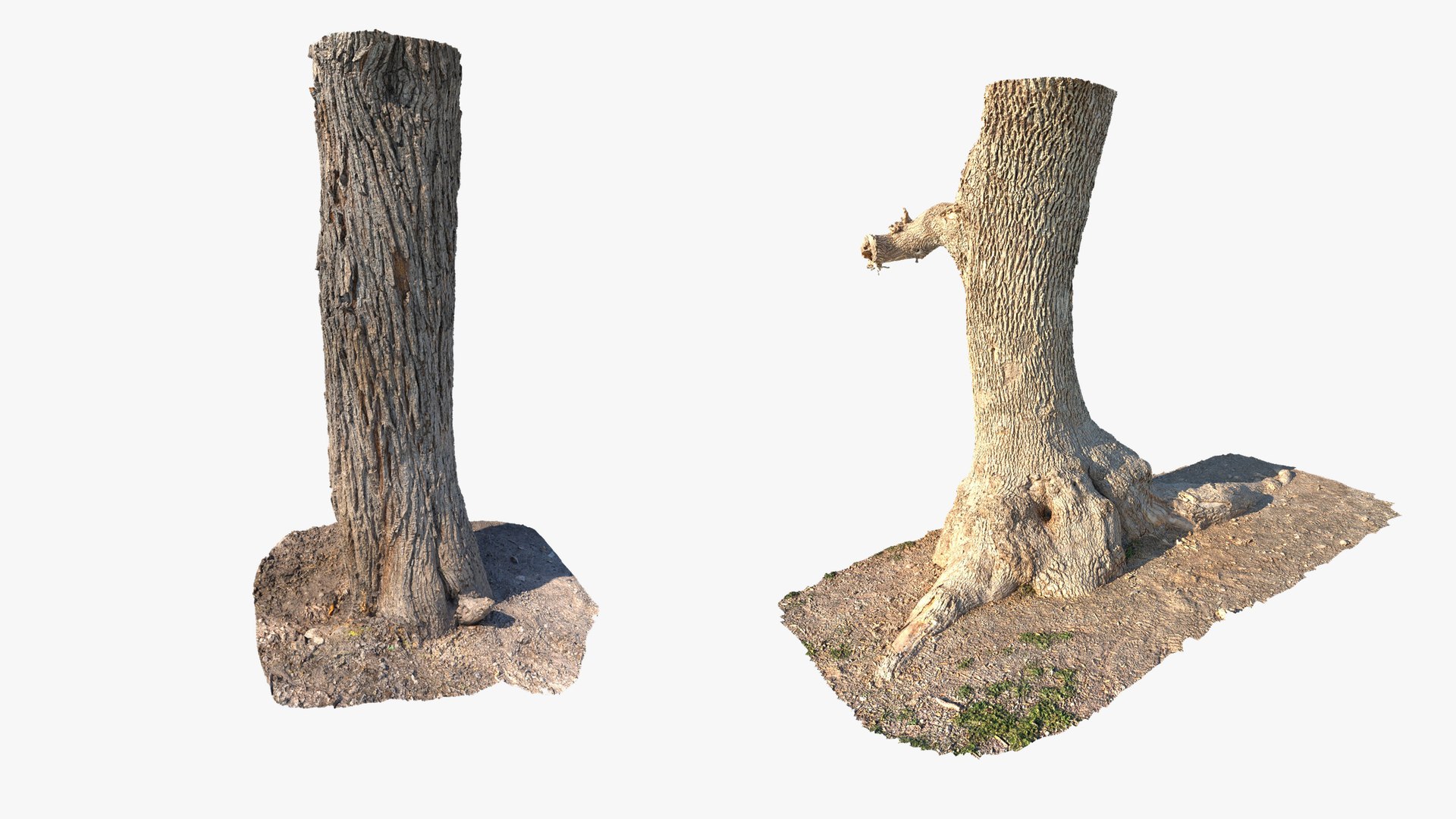 3D model Scanned Tree Trunks Collection Forest and Fruit Trees https://p.turbosquid.com/ts-thumb/tX/DEwlOS/ua/trunks_vertical_max_06_2560x1440/jpg/1787991963/1920x1080/fit_q87/a905dce1afa018912ac70c4acda520c1dbf5c9e0/trunks_vertical_max_06_2560x1440.jpg