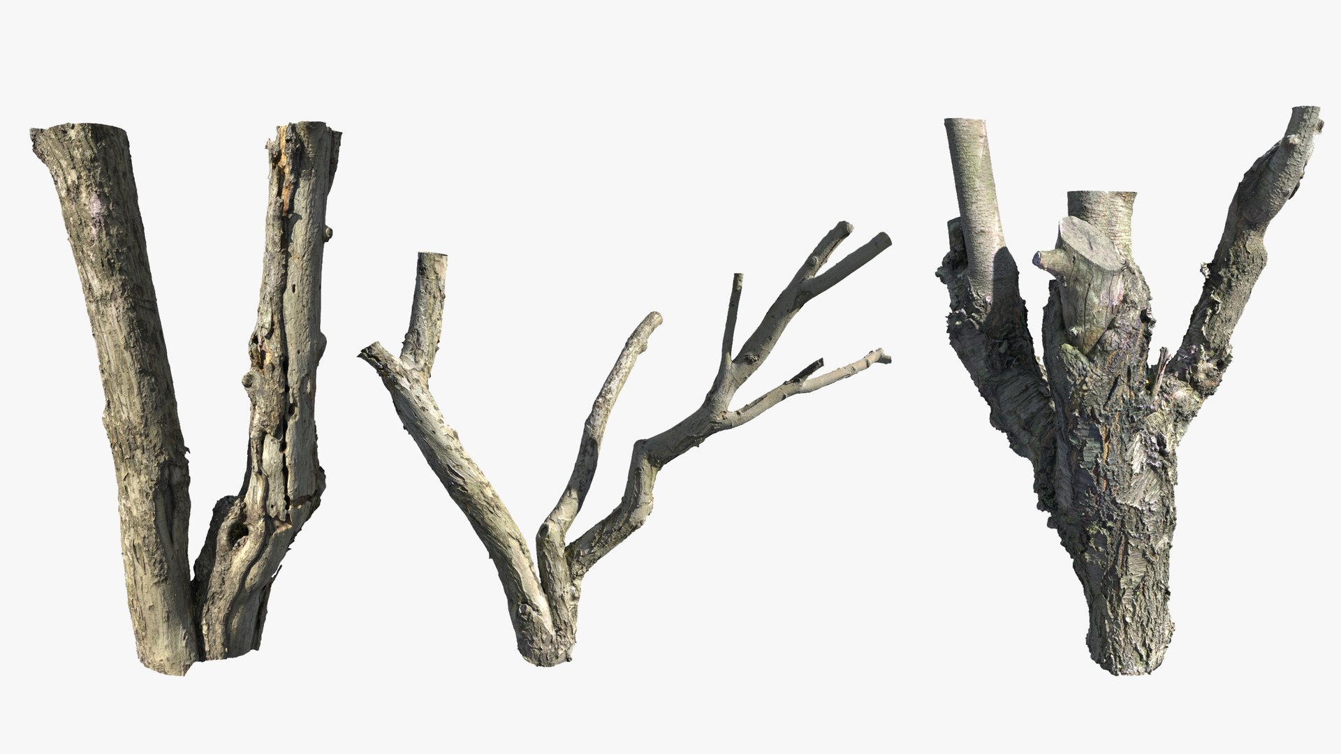 3D model Scanned Tree Trunks Collection Forest and Fruit Trees https://p.turbosquid.com/ts-thumb/tX/DEwlOS/yG/trunks_vertical_max_05_2560x1440/jpg/1787991965/1920x1080/fit_q87/bfc5e61b397db77d2444d2053305d287225f5cdf/trunks_vertical_max_05_2560x1440.jpg